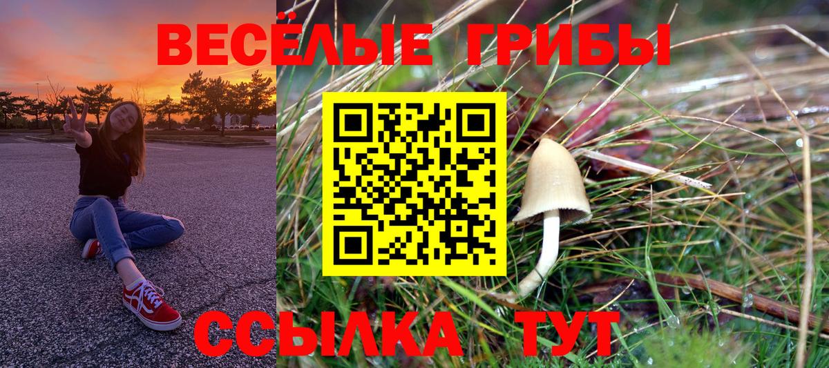 Псилоцибиновые грибы Magic Shrooms Сердобск
